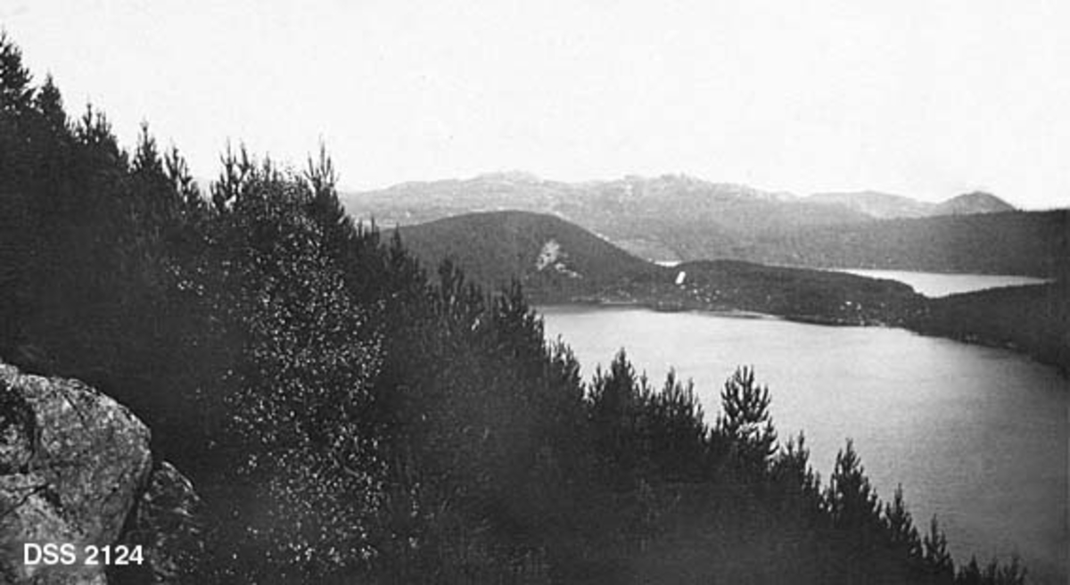 Oversiktsbilde Hetlandsfeltet.  Bildet er tatt fra en bergknaus, over ei li med ungfuru mot fjorden i bakgrunnen.  Fjorden later til å være del i to av en forholdsvis smal landtange.  Her skimtes en del hus.  I bakgrunnen forholdsvis markante fjell. 