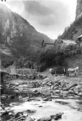 Høyonn, mann, hest og gardstun, Klyve