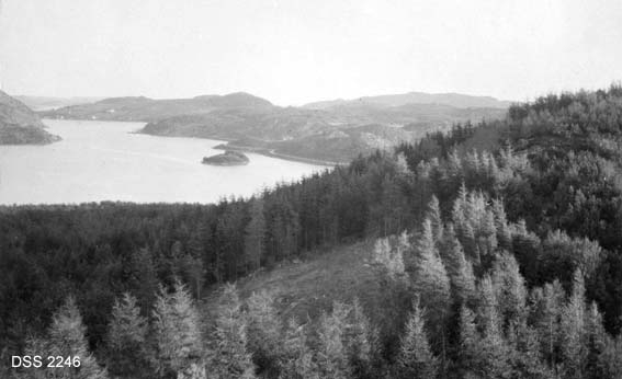 Landskapsbilde fra Kjørrefjordkomplekset ved Farsund.  Skogbevokst åskam med hogstflate beplantet med edelgran i forgrunnen, fjordlandskap i bakgrunnen.