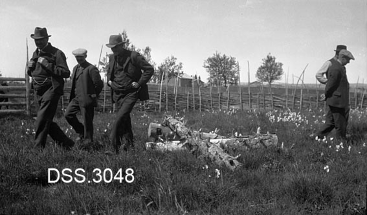 Parti fra oppdyrket engareal ved Brumunddalssætra i Furnes almenning. Kaptein og jordbruksentusiast Ole Rømer Aagaard Sandberg (1865-1925) sto bak dette arbeidet, som innebar en utvidelse av sæterløkka som hørte til garden hans, Hol i Furnes (seinere innlemmet i Hamar og utparsellert til boligfelt). Bildet viser et sæterlandskap der to løkker er skilt ved en skigard. I forgrunnen ei myrlendt eng med tre cirka halvannen meter lange, øyete stokkker som er kvistet 5-10 centimeter fra stammen. Etter bildeteksten å dømme må disse ha vært brukt som risharv.  Fem menn vandrer forbi redskapet. Rydningsarbeidet ved Brumunddalssætra opphørte etter 2. verdenskrig.

Se fanen «Opplysninger».