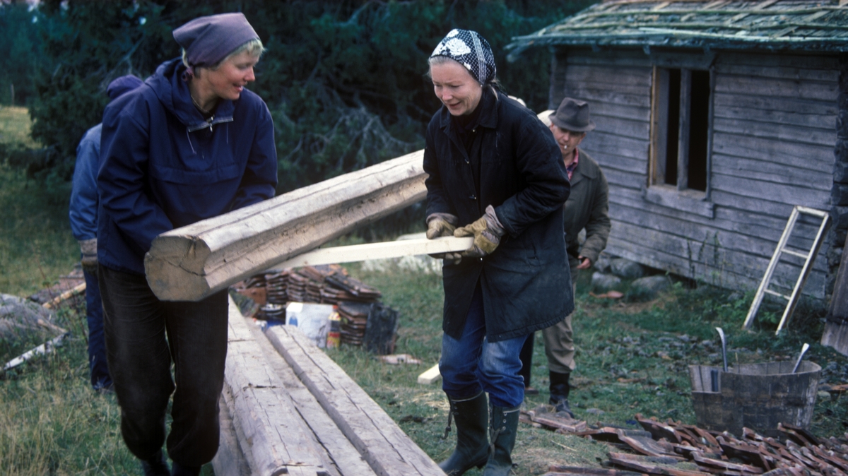 RESTAURERING LALUMSVANGEN. HELENE LUNDE OG SOLVEIG RØNNINGSBAKKEN BÆRER EN STOKK. BAK BOTOLF E. LUND. MUSEUM. STED:STANGE ALMENNING. KOMMUNE:STANGE. DATO:1982. FOTO:EGIL M. KRISTIANSEN 
 

