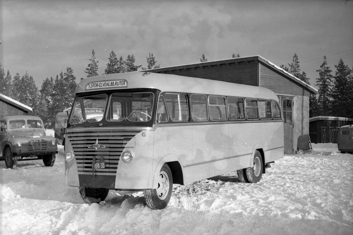 Buss