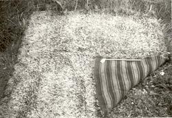 Båtryer, kystkulturens sengeplagg