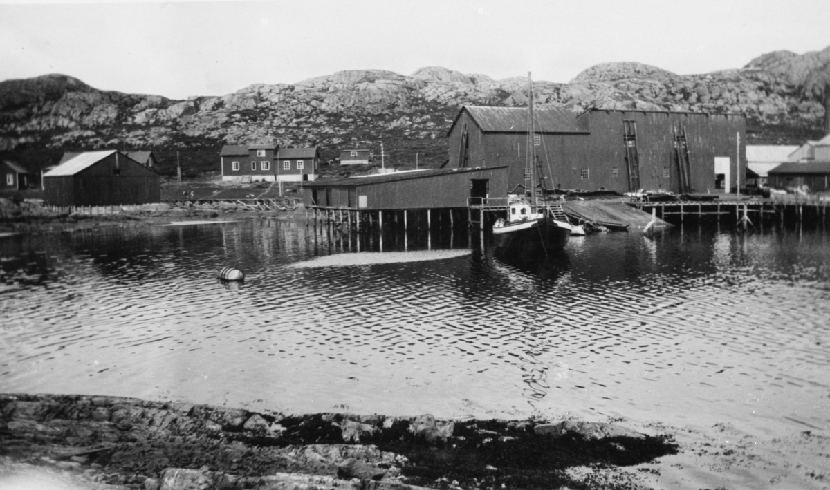 hvalfangst, hvalstasjon, brygge, kai, båt, skøyte, motorskøyte