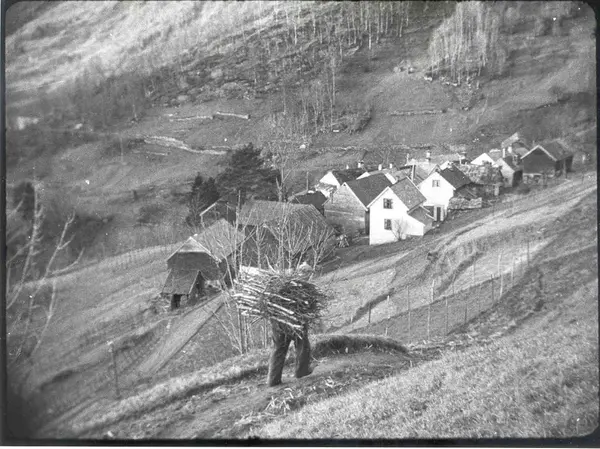 Havrå. Mann med ei bør på ryggen.klyngjetun. bratte lier. 