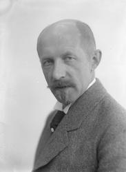 Forfatter Johan Bojer