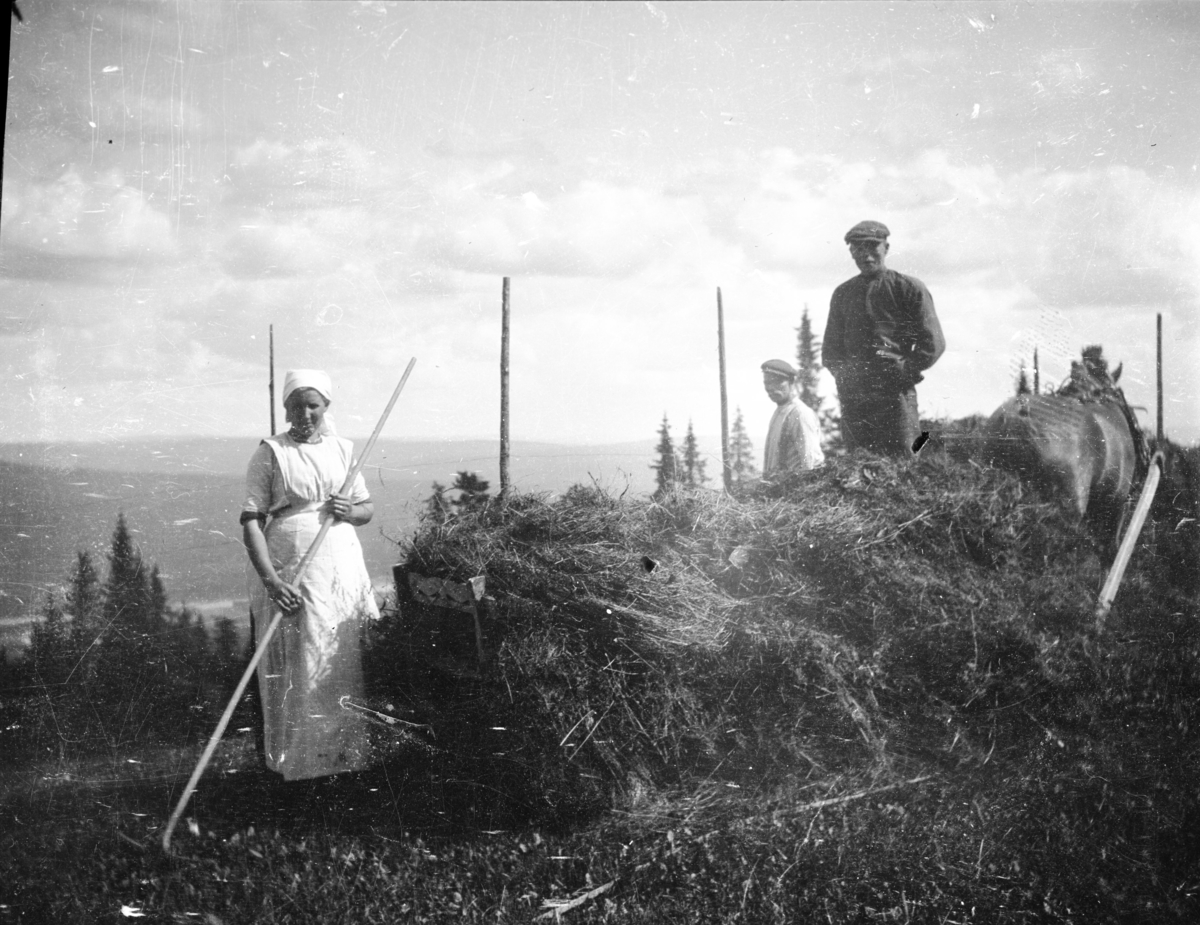 Rustad seter