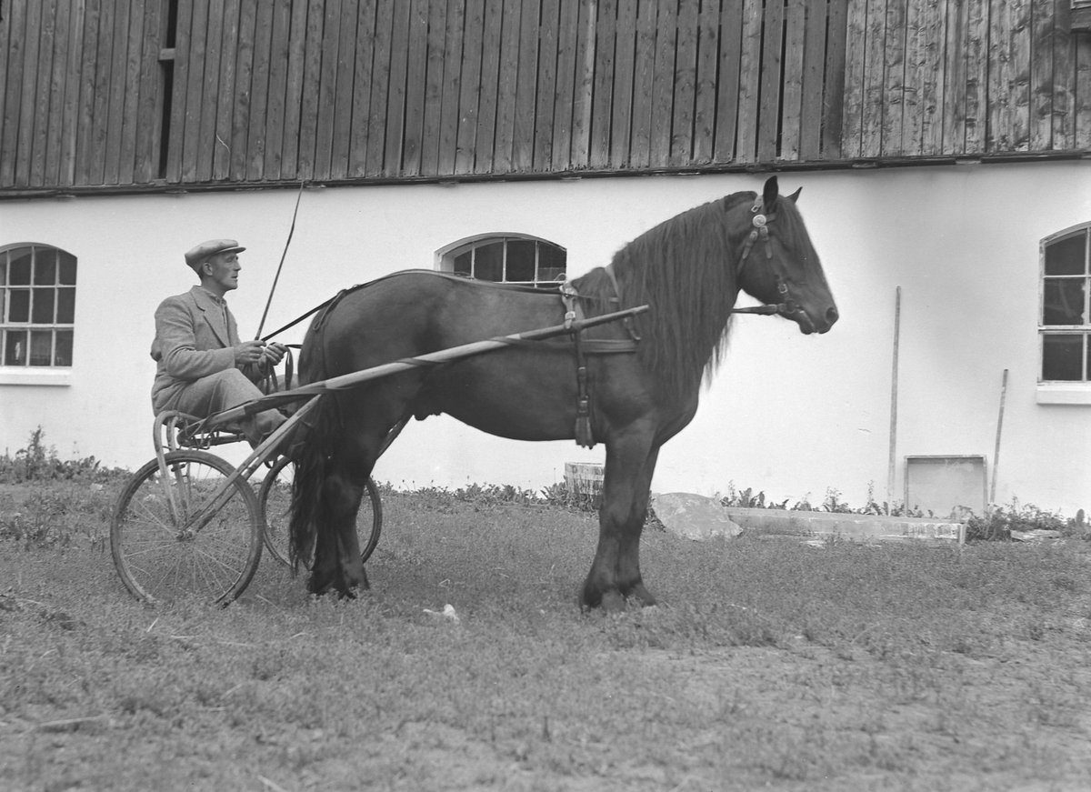 P.O. Husby med hest og sulky på Leangen