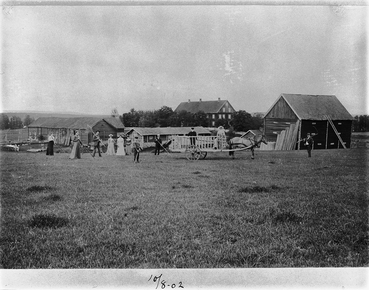 HØYONNA, MANGE MENNESKER MED RIVE, HEST MED HØYVOGN, 10-8-1902. SVARTJORDSPLØYA, SANDE GARD I ROMEDAL. 