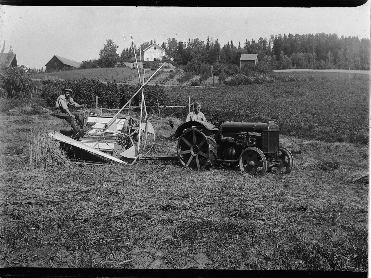 Ringsaker, Tømten gård, innhøsting, skuronn, jerntraktor med selvbinder, gårdbruker Thore Ensby sitter på sjølbinderen, 
