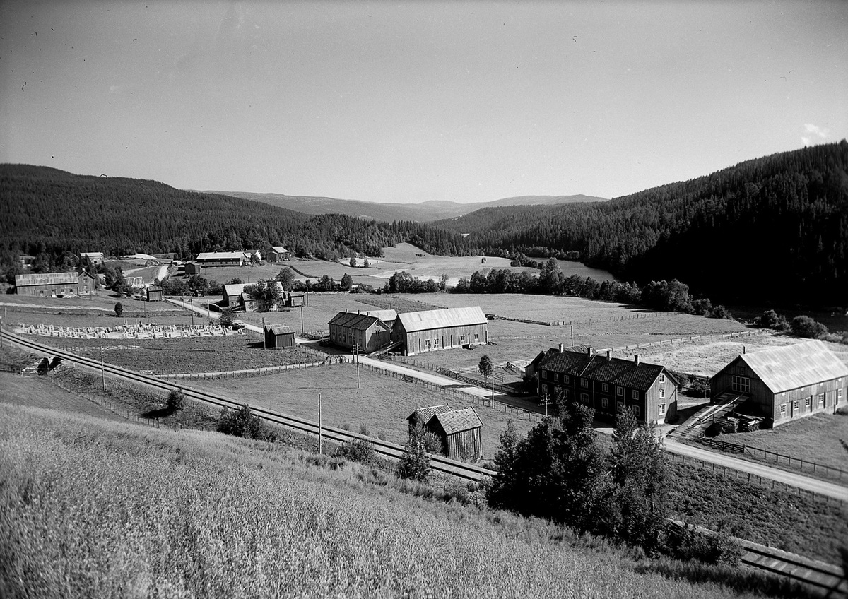 Partier fra Haltdalen