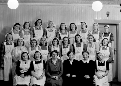 Dessertpulver og frakkeforkle - glimt fra husmoras kulturhistorie