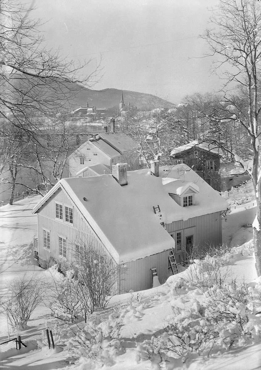 Utsikt fra Sverres gate