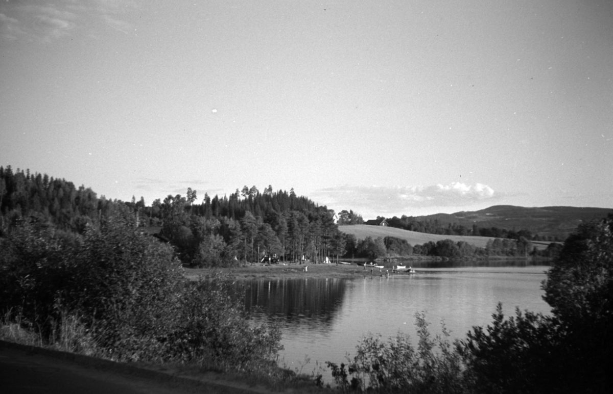Ringsaker, Landskap med skog og Mjøsa. Korgerstuvika i Moelv -Anno ...