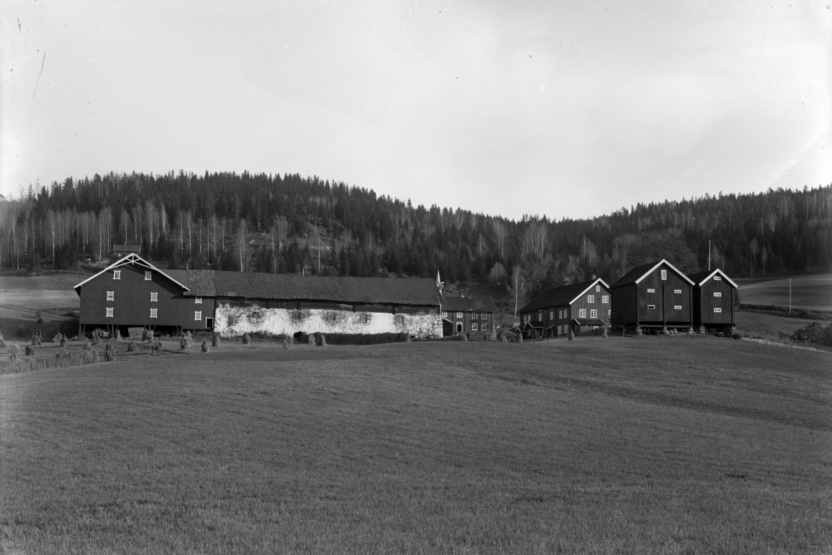 Ringsaker, Brøttum, Dæli gård, hovedbygning fra 1804 fredet, steinfjøs, låve, stabbur,