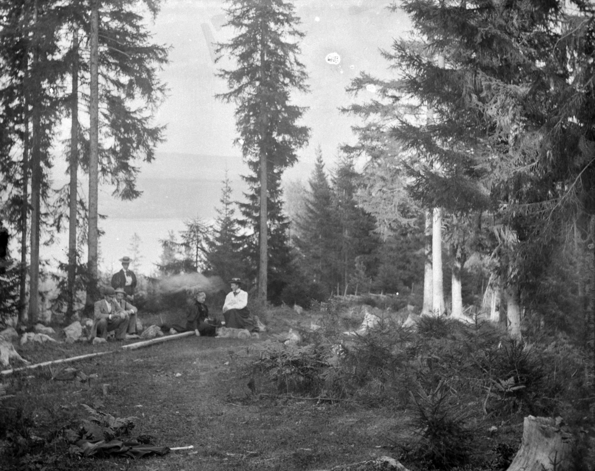 Ringsaker, Nes, Grefsheim gård, To menn og tre kvinner på tur i skogen. Mellbye?
