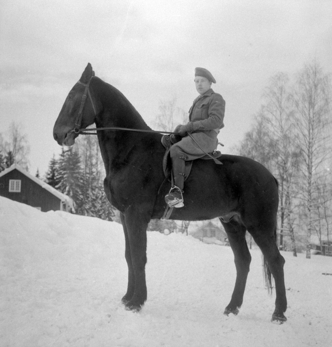 Militære, Starum ekserserplass, diverse kurs og diverse portretter, 1950. Starum. 


Bilde nr. 1: Fenrik Raassum, nr. 2: fenrik Midtbø, nr. 3: sersjant Grini, nr. 4: sersjant Mo, nr. 5: R. Løkken. 

Bilde nr. 6 til 20: Ukjente menn på hester. 
Bilde nr. 21 til 23: Ukjente menn, bilde nr. 24: Sersjant Aabel. 
Nr. 27 til 30: Ukjente menn til hest. 