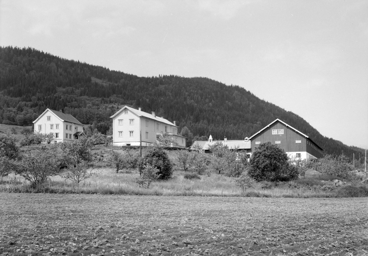 Ringsaker, Nes H, Nerlien gård, 7 opptak fra gården