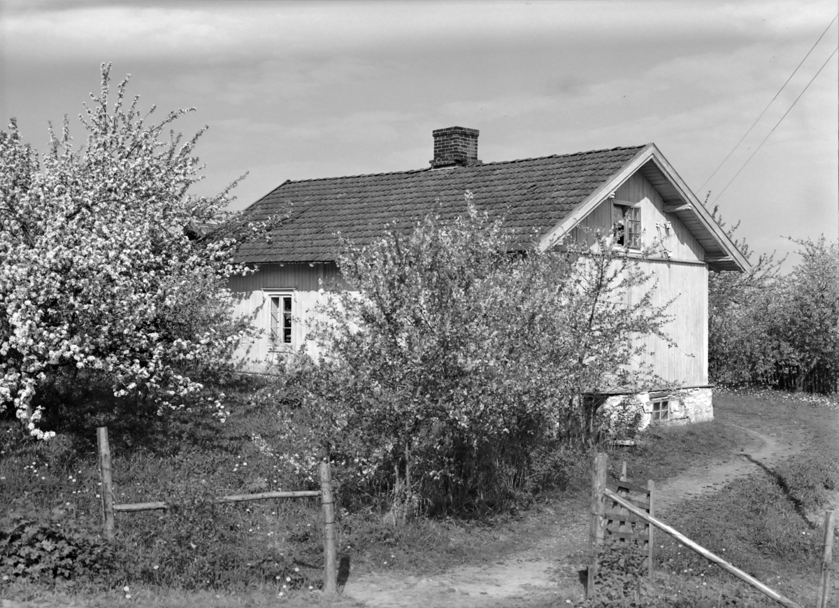 Eksteriør, bolig, Vestgård, Helgøya.