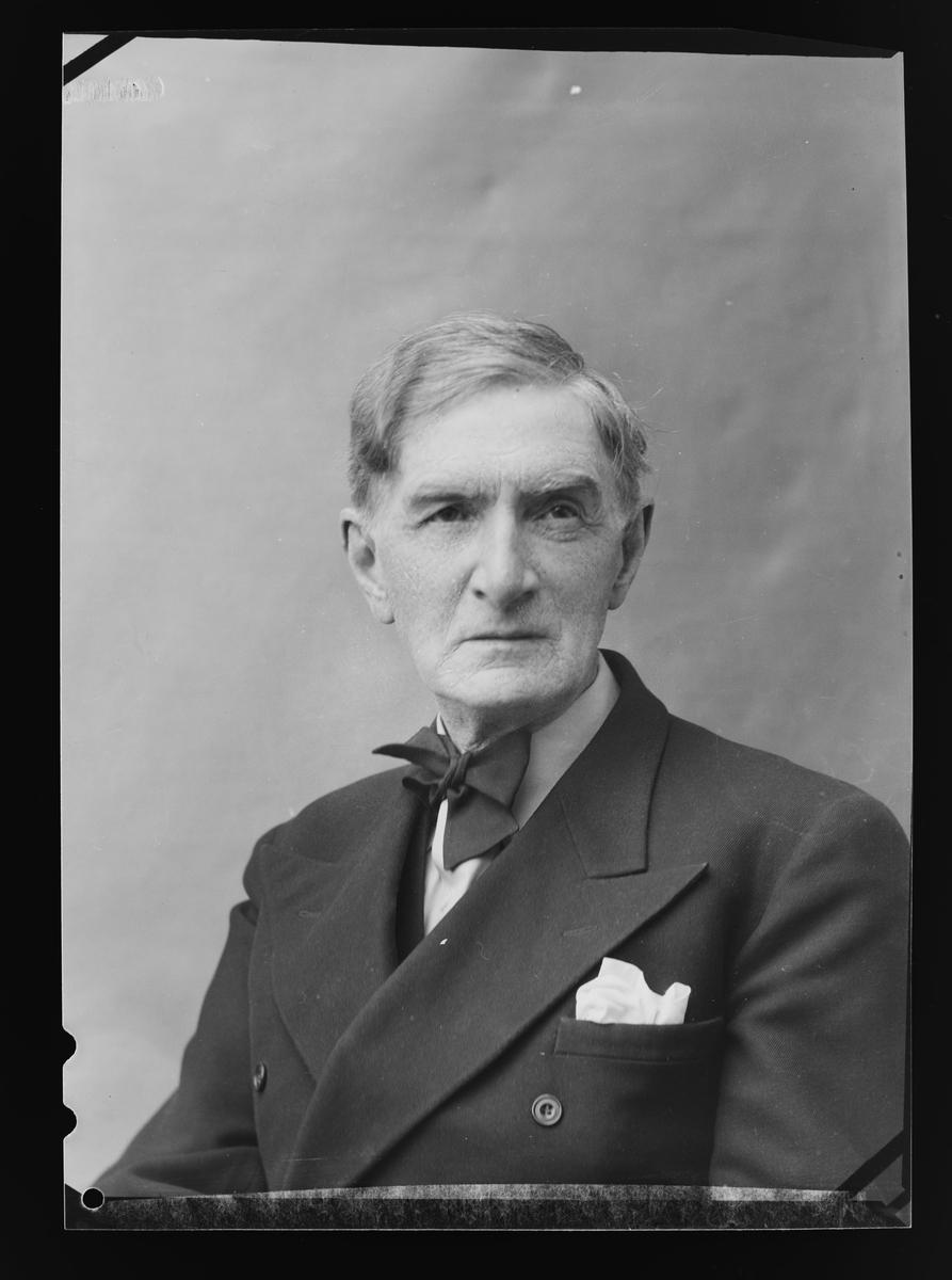 Portrett av Johan Falkberget