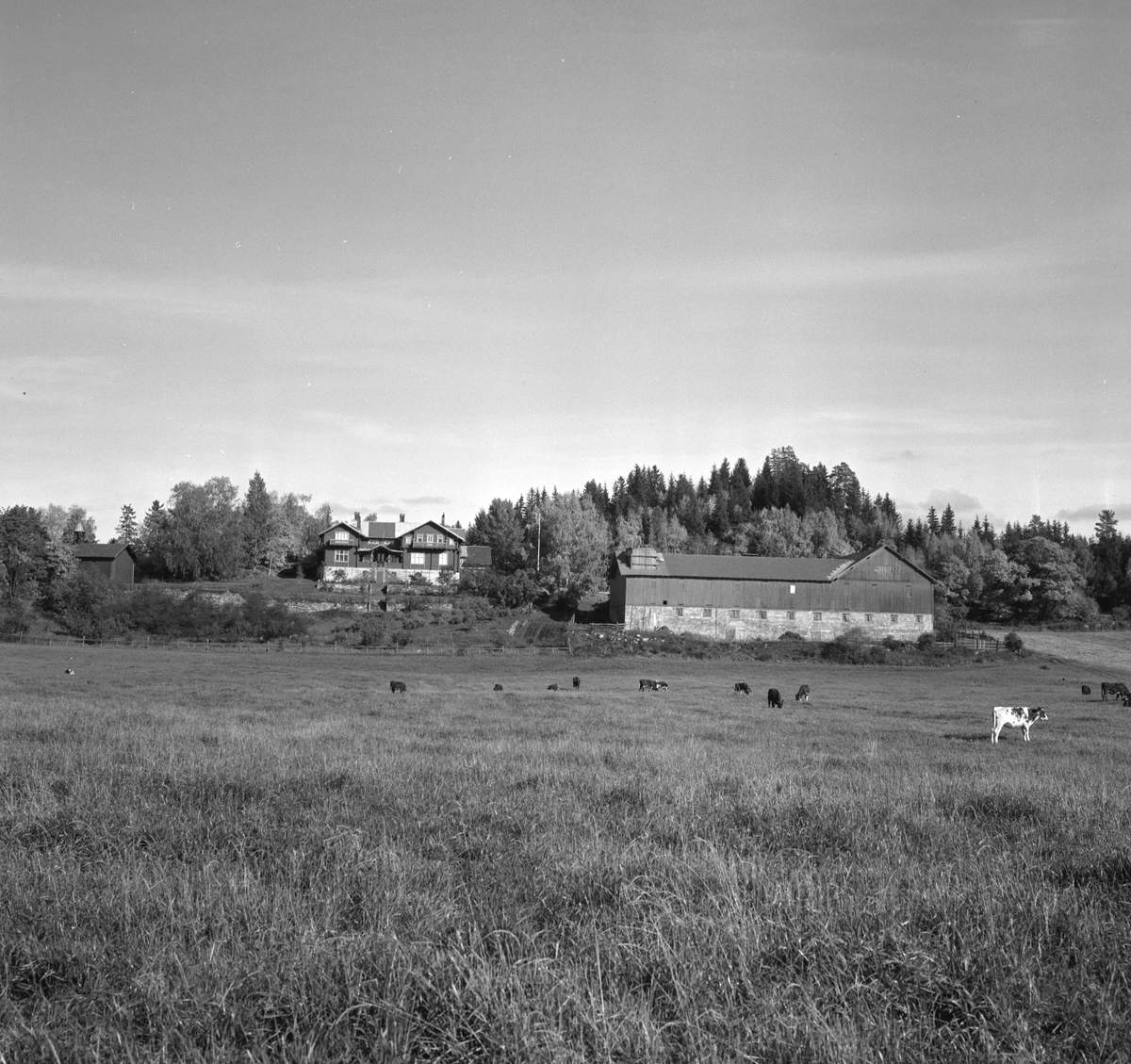 Stein gård, Ringsaker. Eksteriør. 