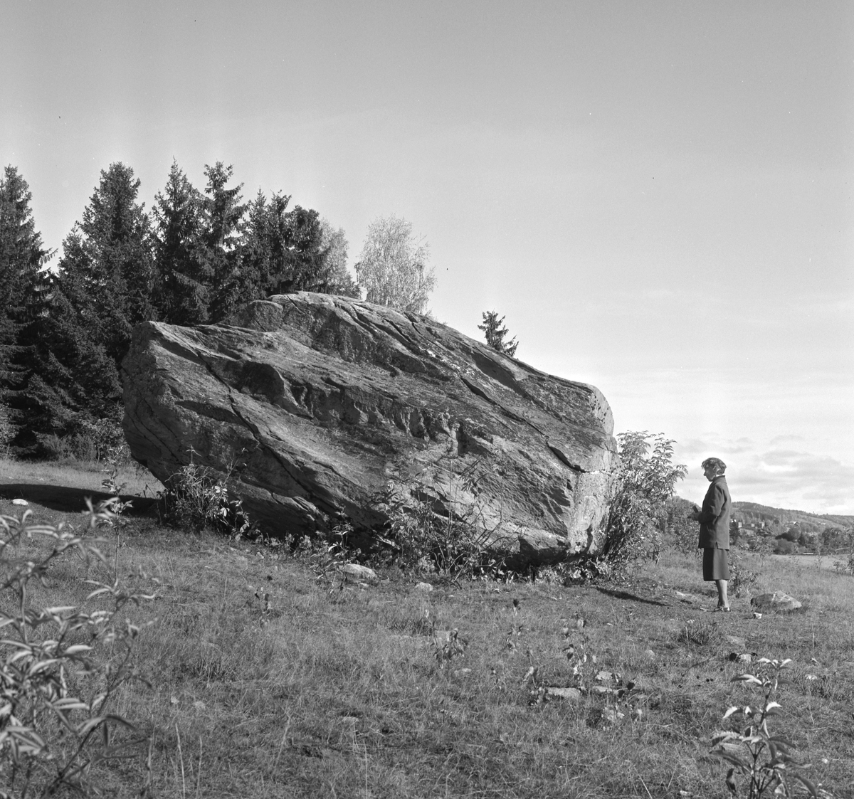 Helleristninger, Stein gård, Ringsaker. 