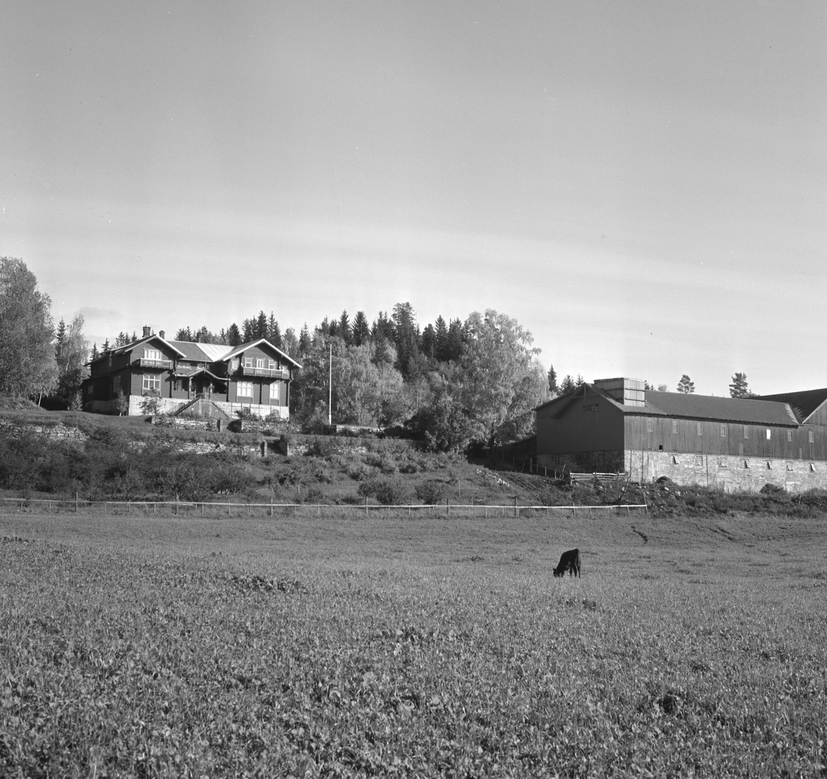 Stein gård, Ringsaker. Eksteriør. 