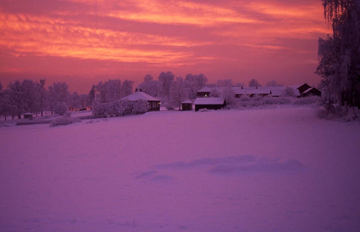 Vinterstemning, solnedgang, Kringkastningsjordet. , Hamar. 