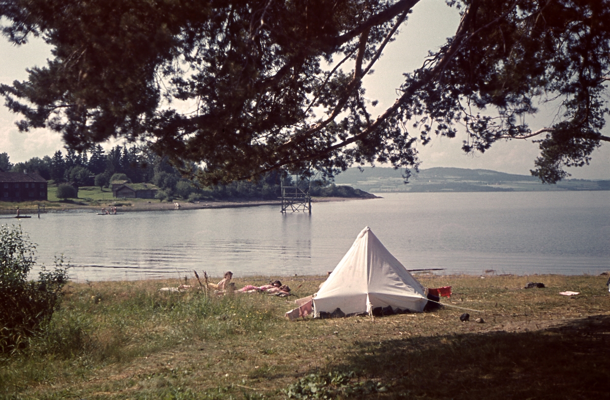 Hamar, Domkirkeodden, telt i Rinalunden i Rosenlundvika, campingplass,