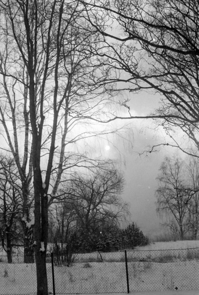 DOMKIRKEODDEN, STEMNING, VINTER. 