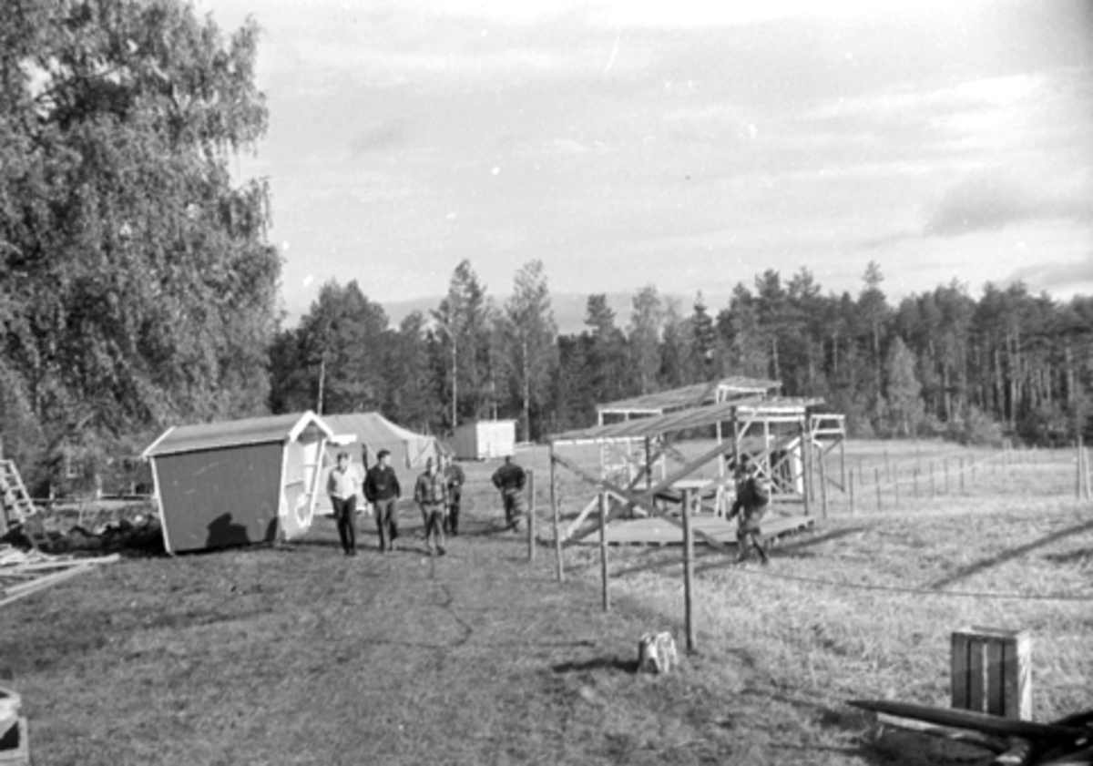 Løten idrettslag, orienteringsgruppa.