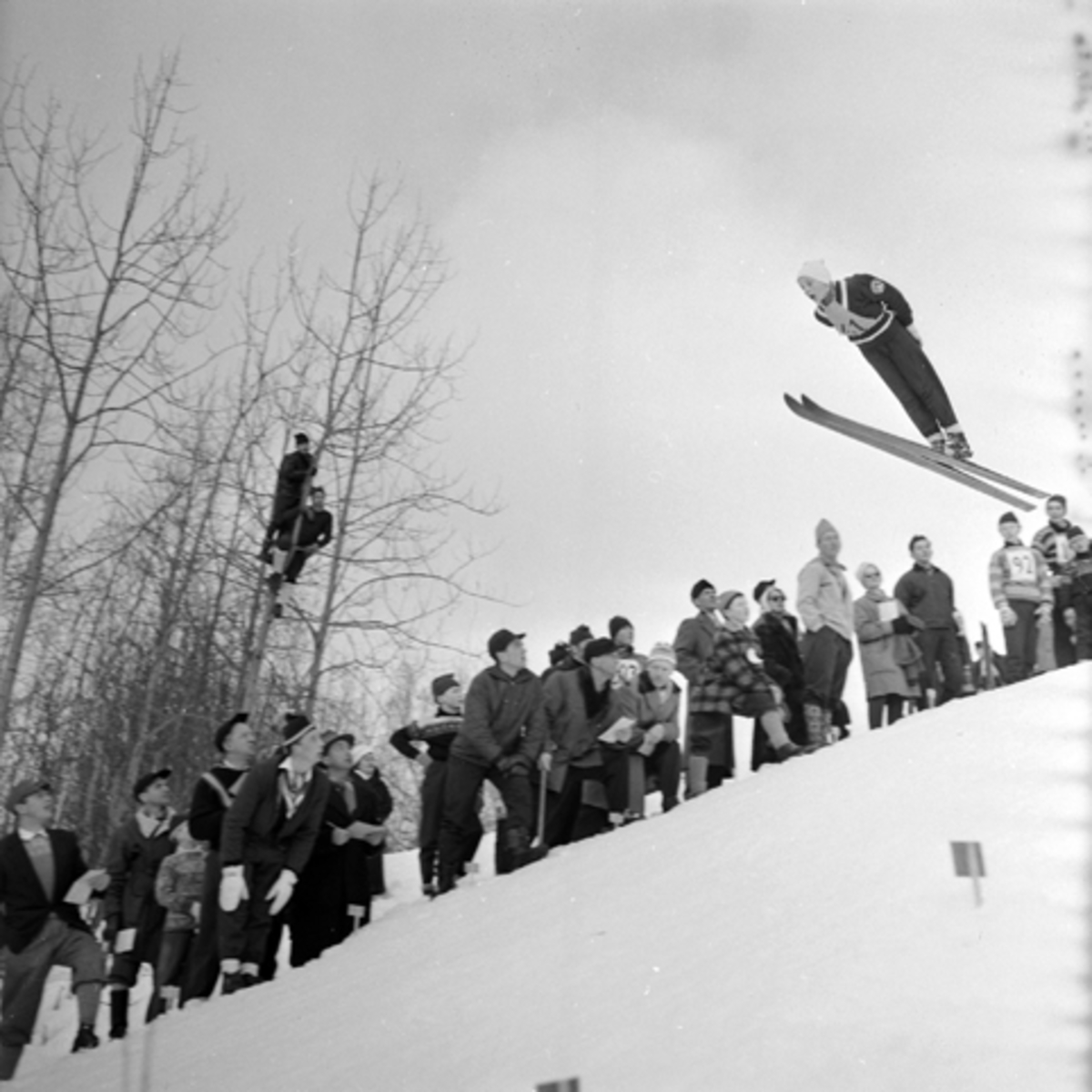 Vidar Nilsgård, Rena, ski, hopp.
