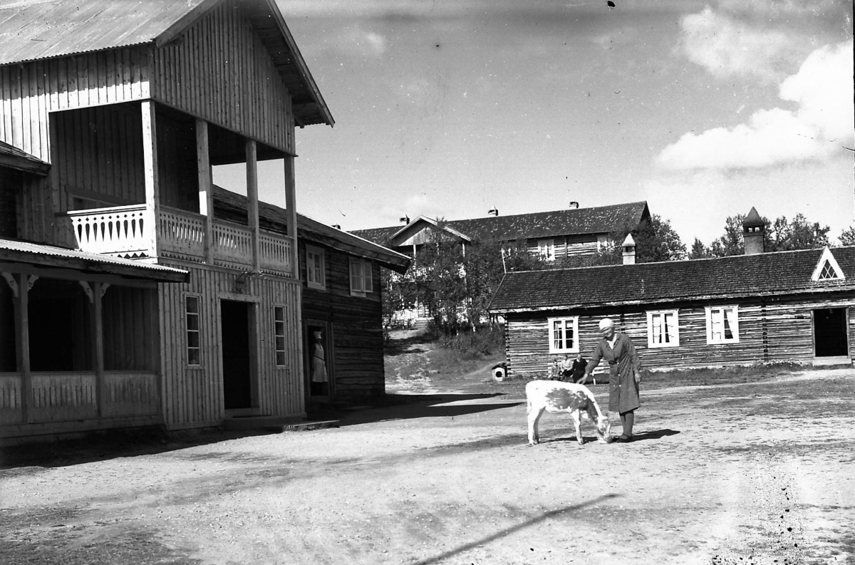 Store seterstuer, svalgang nede og 2 etg. på midten, seter-turisme. 