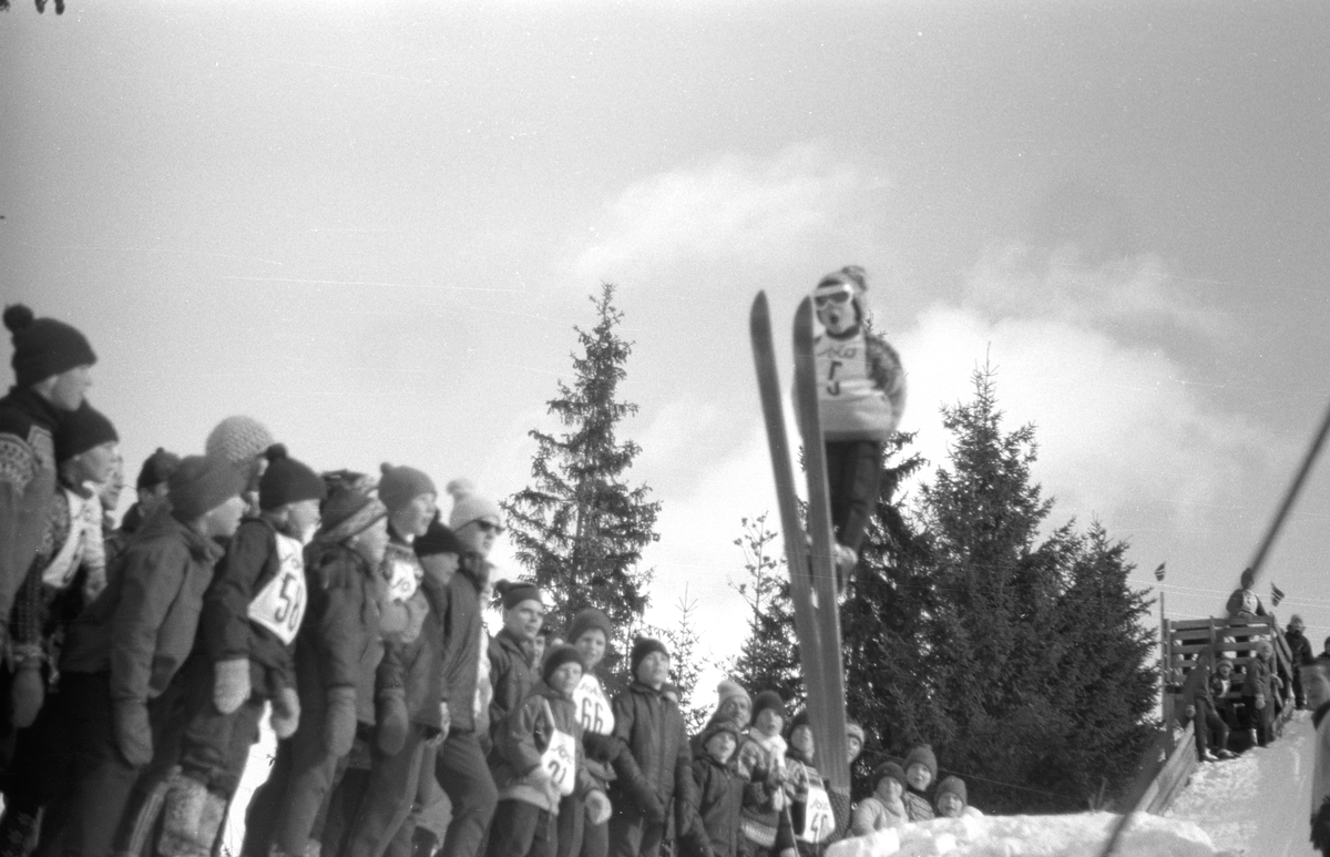 Pellervikrennet, barneskirenn, Brumunddal, 10. 03. 1968. Skihopp. Hopprenn. 
Det var påmeldt 361 deltagere i Pellervikrennet i 1968. 40 funksjonærer var i virksomhet. Alle ble premiert. 