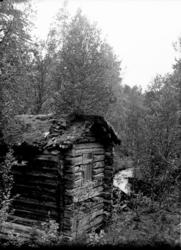 Tolga, Vingelen, ukjent Kvernhus