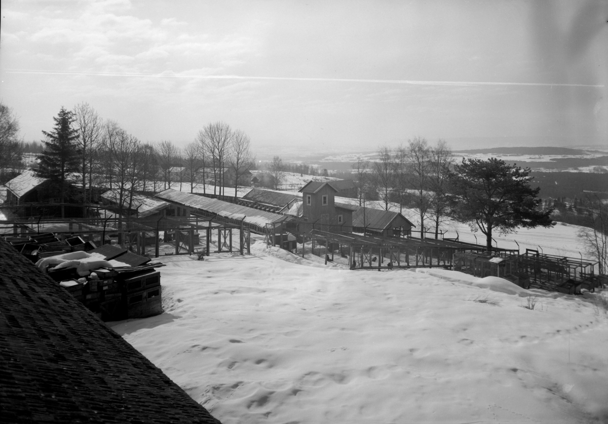 Hamar Pelsdyrfarm, Kylstad i Furnes, etablert i 1929 ved Ivar Siljeset og A. E. Dobloug, solgt til Solveig Røkke i 1939, (hun var medlem av Norges Minkavlslag, satt også i styret i 1940-1944 og Hedmark Pelsdyrslag fra 1944 til 1950),