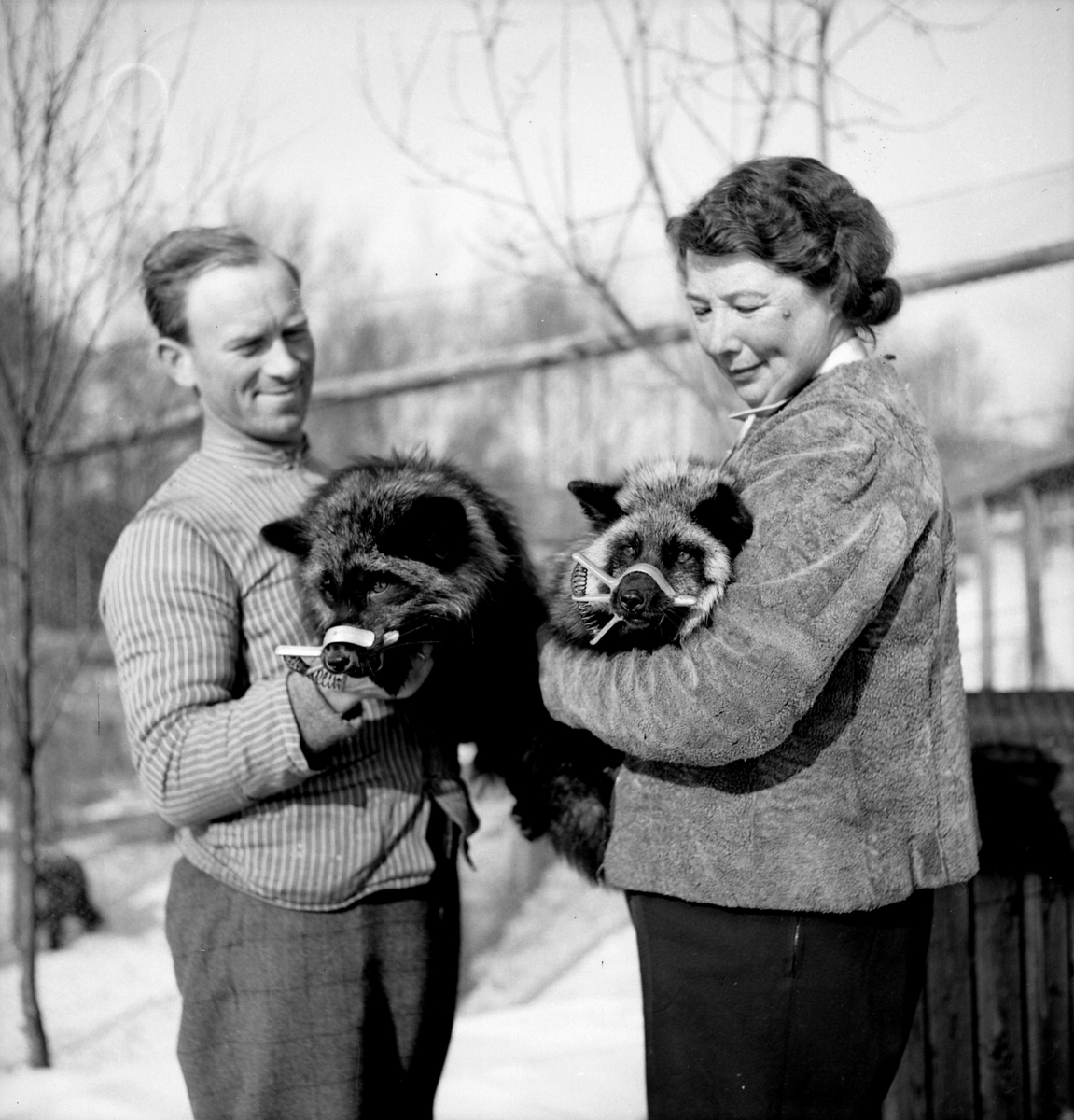 Hamar Pelsdyrfarm, Kylstad i Furnes, etablert i 1929 ved Ivar Siljeset og A. E. Dobloug, solgt til Solveig Røkke i 1939, (hun var medlem av Norges Minkavlslag, satt også i styret i 1940-1944 og Hedmark Pelsdyrslag fra 1944 til 1950),
