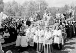 Hamar by 100 år og 900 år, byjubileum 1949, Hamar kommune, D