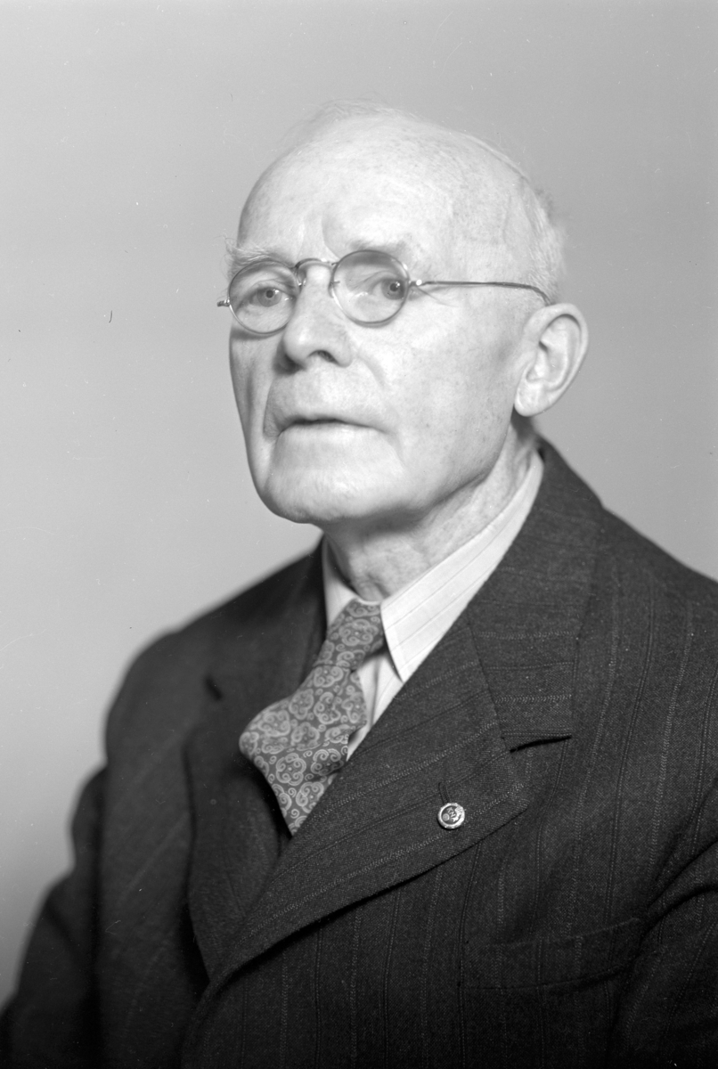 Portrett Tannlege Per Glorvigen, Hamar