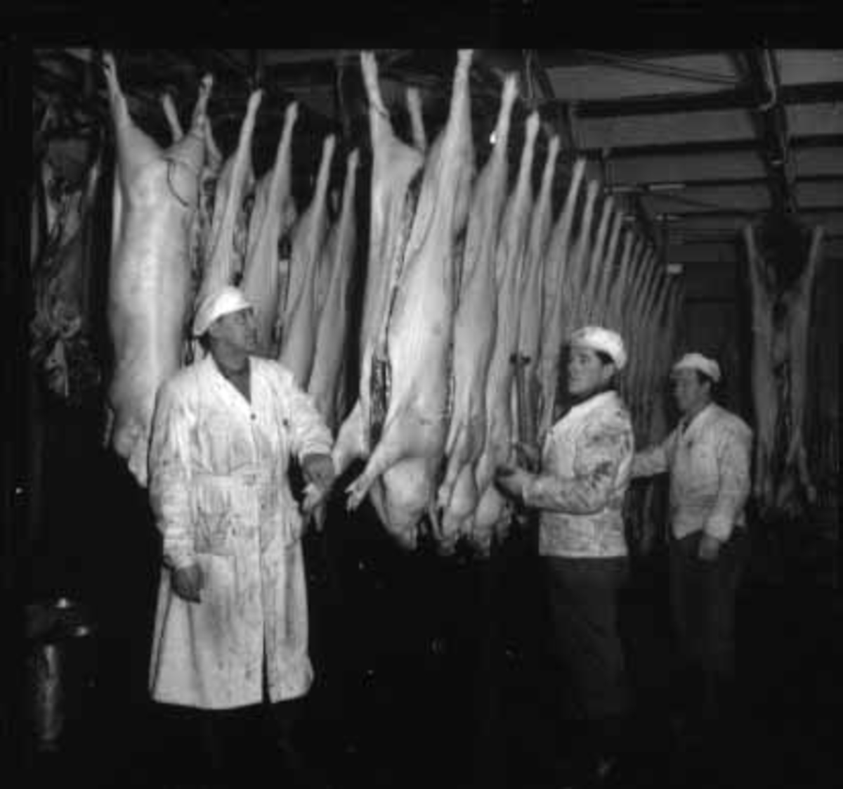 Hamar, Stangevegen 72, Hamar Slakteri A/S, slakting av gris,  