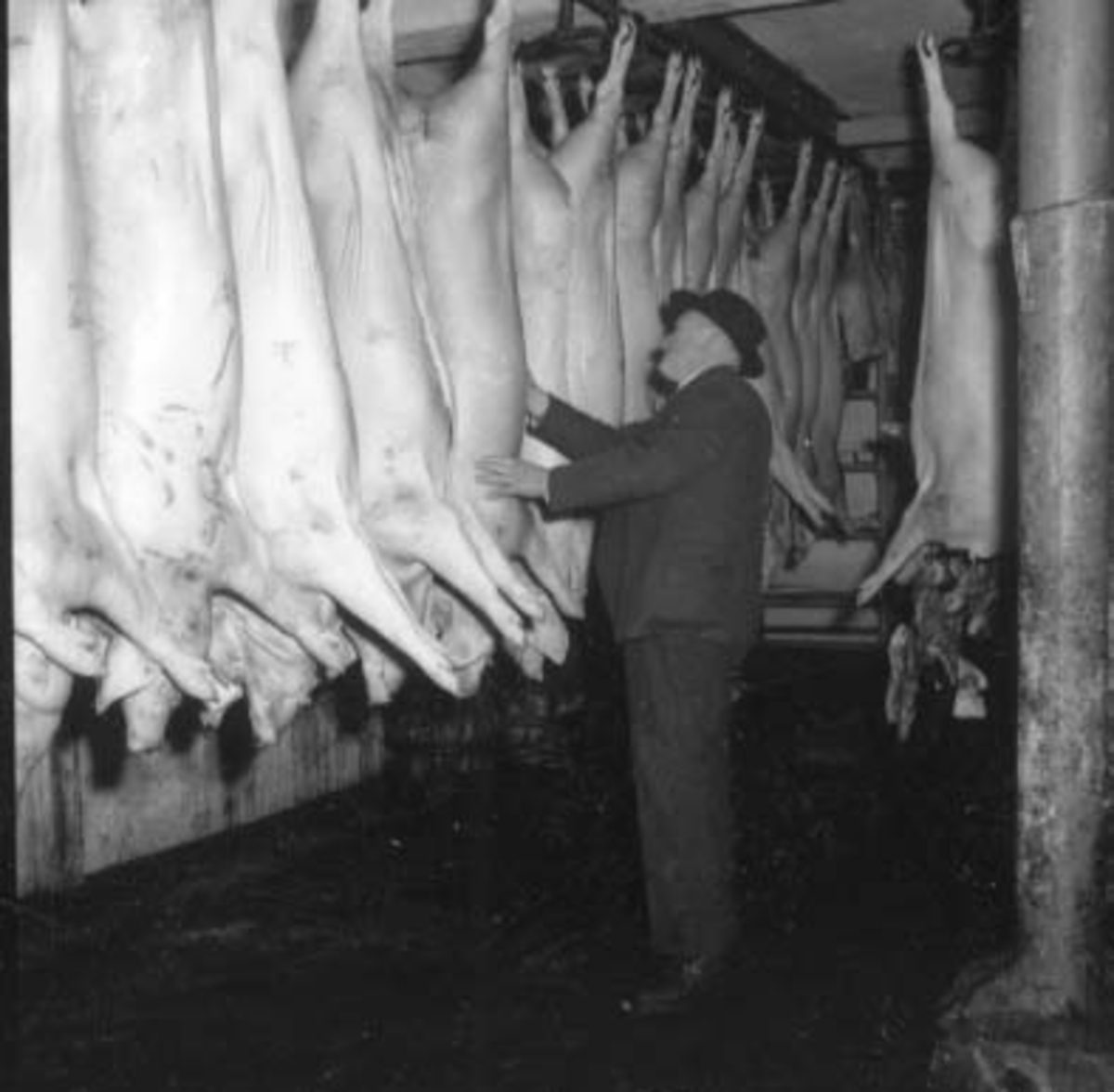 Hamar, Stangevegen 72, Hamar Slakteri A/S, slakting av gris,  