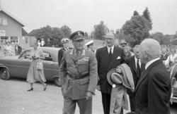 Hamar, Domkirkeodden, Hamardagen 1955, Hamar bispestol 800 å