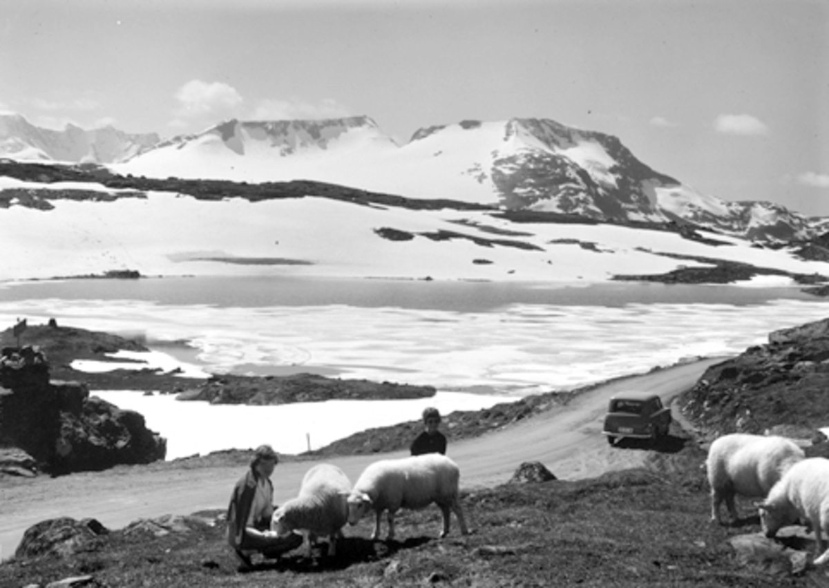 FJELLOVERGANG, FANNARÅKEN, LUSTER KOMMUNE, SOGN OG FJORDANE, POSTKORT. FOTO, NORMANN. BARN MATER SAUER, LANDSKAPS MOTIV.