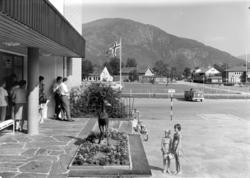 MOTIV UKJENT. POSTKORT. FOTO, NORMANN.