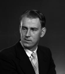 Ringsaker, portrett forfatter Alf Prøysen,