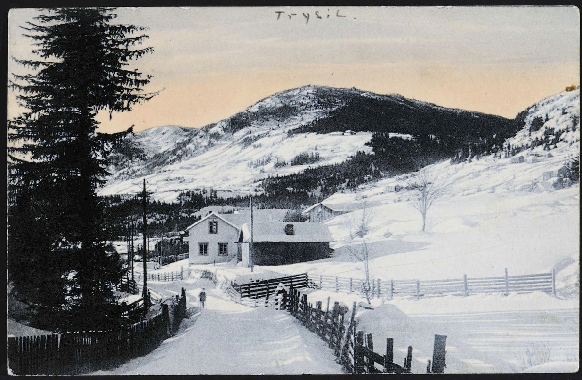Trysil, ukjent sted. 1924 eller før. 