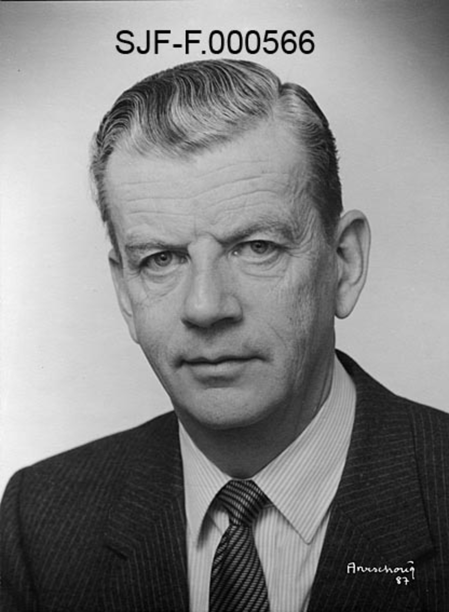 Portrett av Per Etholm, som var formann i De norske Papirfabrikanters Forening fra 1983 til 1986.  Etholm er fotografert i gråsvart dressjakke med smale, grå striper.  Under jakka har han lys skjorte med stripemønster og slips, som også har striper.  Etholm kan se ut til å ha vært om lag 60 år gammel da fotografiet ble tatt.  Han hadde grånende, skrått bakoverstrøket hår.  Fotografiet er et studioopptak, gjort mot gråkvit bakgrunn. 

Per Etholm var administrerende direktør ved Saugbrugsforeningen i Halden da han bler styreleder i De norske Papirfabrikanters forening.  I 1984 gikk han over i en stilling som arbeidende styreformann, mens Roar Gjessing ble ansatt som ny administrerende direktør. 
