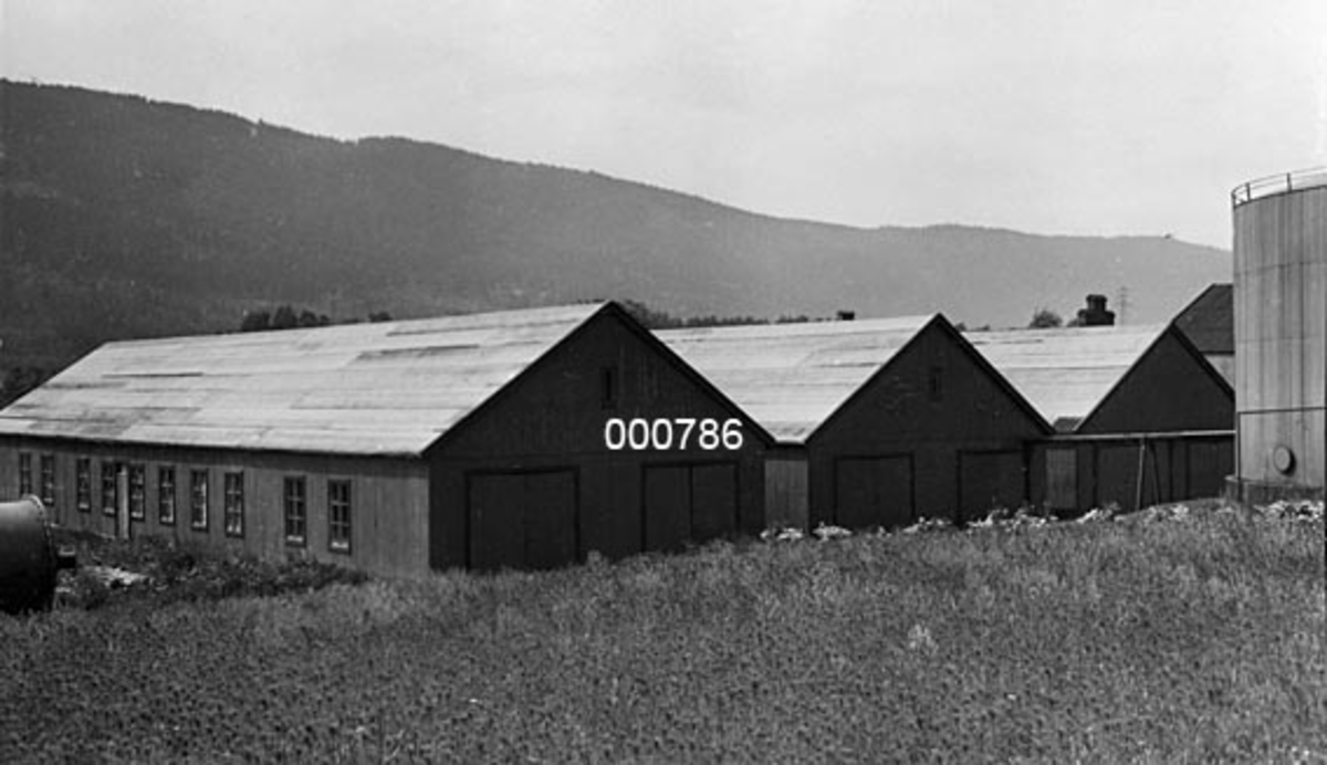 Interiør fra A/S Buskerud Papirfabrikk på Åssida i Drammen (den gang i Lier kommune).  Fotografiet viser tre lagerhaller for cellulose, antakelig i skråningen mellom fabrikkanlegget og Drammenselva.  De tre hallene er ligger parallelt og har ens utforming, med bølgeblikktekkete saltak, to portert i øvre gavlvegger og vinduer på langsidene.  Helt til høyre ses deler av en diger, sylindrisk tank, muligens en oljetank.  Ifølge en tekst under en albumkopi av fotografiet skal det være tatt i 1945.  Det kan tenkes at disse lagerhusene ble bygd mot slutten av 2. verdenskrig, da fabrikken var ute av drift. 