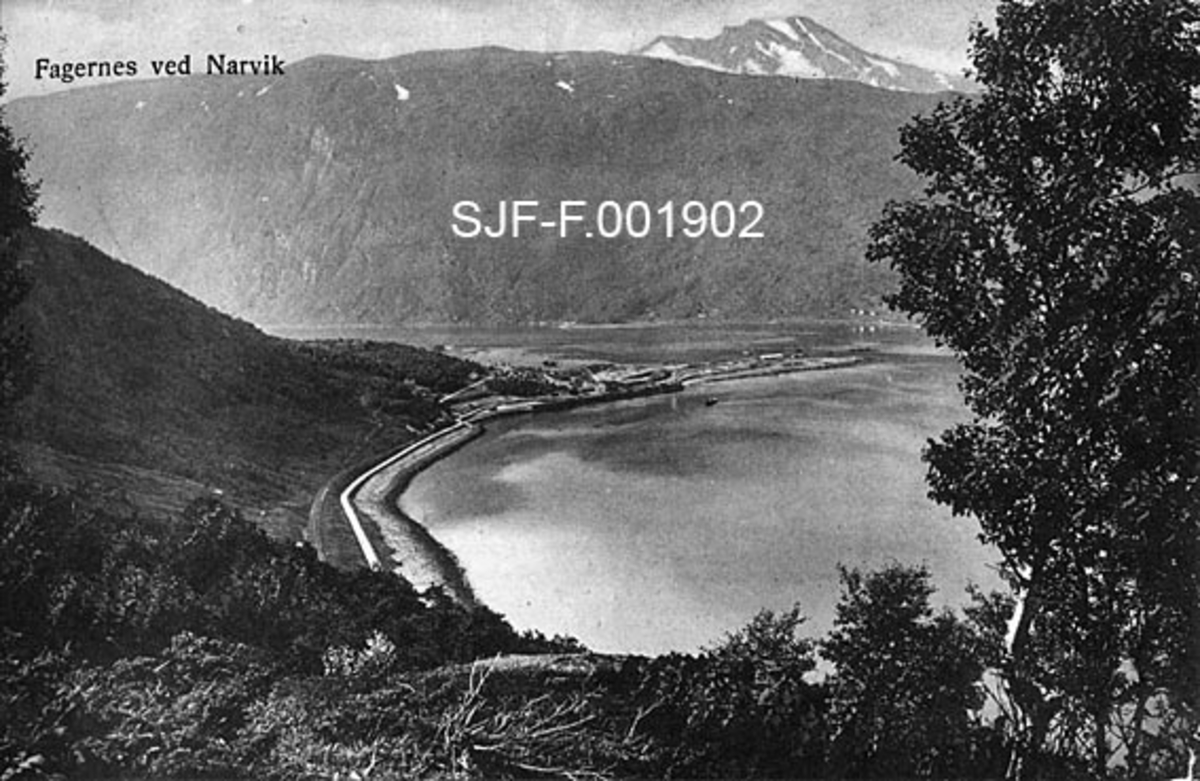 Landskapsbilde fra Fagernes ved Narvik i Nordland.  Fotografiet er tatt fra en bergknaus med spredte bjørketrær.  Fotografen har dokumentert den vakre utsikten mot den nedenforliggende fjorden, hvor det går en veg langs strandlinja.  På et nes om lagt midt på bildeflata ser det ut til å være litt bebyggelse.  På motsatt side av fjorden ligger en bratt fjellrygg, og bak den skimtes et ennå høgere fjell med strimer av snø.  