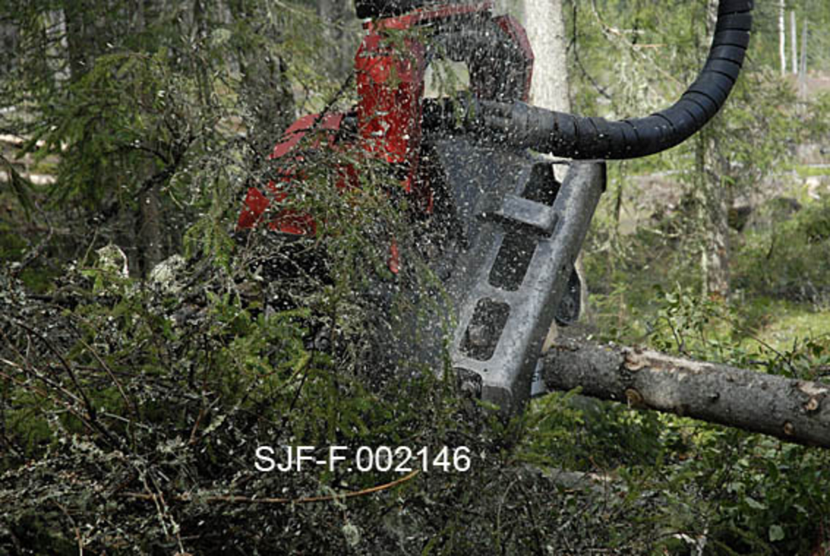 Ettgreps hogstmaskin i arbeid i Ulvåsen i østre Elverum, 5. august 2009.  Fotografiet viser hvordan den arbeidende delen av maskinen, aggregatet, holder treet cirka en meter over bakken.  Til høyre for aggregatet en nykvistet rotstokk, som snart skal kappes.  Til venstre den øvre delen av treet, som skal kvistes før også den kappes i høvelige lengder.  Til høyre bak aggregatet ser vi slanger og ledninger som er innkapslet i en svart plastspiral, og som gir maskinkomponenten driftsimpulser. 